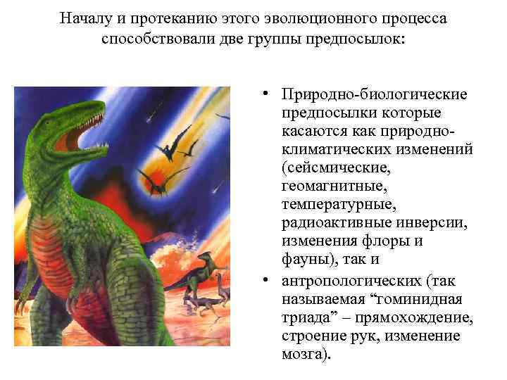 Началу и протеканию этого эволюционного процесса способствовали две группы предпосылок: • Природно-биологические предпосылки которые