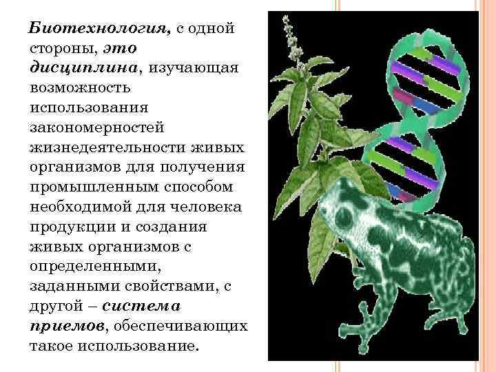 Биотехнология, с одной стороны, это дисциплина, изучающая возможность использования закономерностей жизнедеятельности живых организмов для