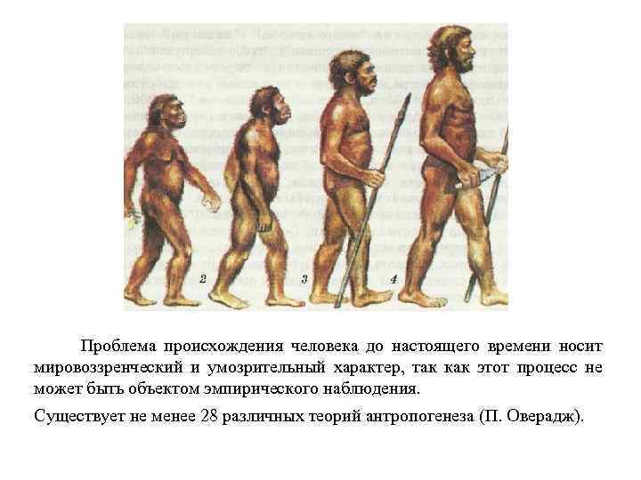  Проблема происхождения человека до настоящего времени носит мировоззренческий и умозрительный характер, так как