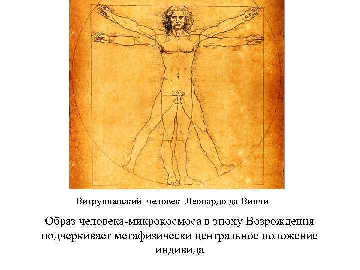 Витрувианский человек Леонардо да Винчи Образ человека-микрокосмоса в эпоху Возрождения подчеркивает метафизически центральное положение