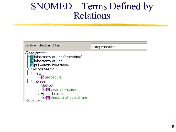 SNOMED – Terms Defined by Relations 26 