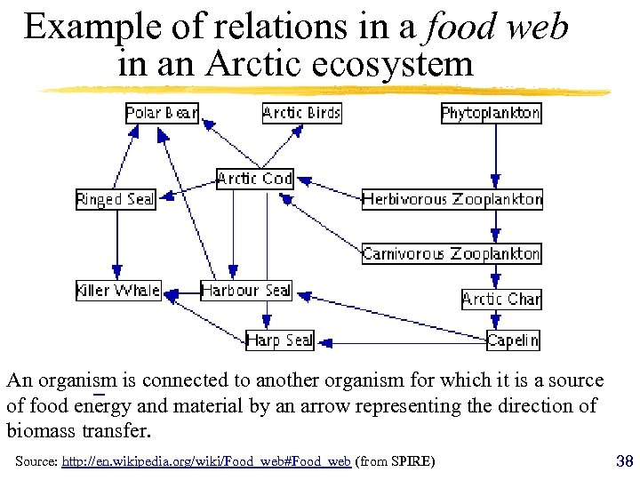 Example of relations in a food web in an Arctic ecosystem An organism is