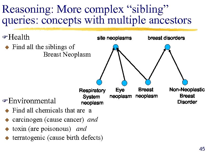 Reasoning: More complex “sibling” queries: concepts with multiple ancestors FHealth u Find all the