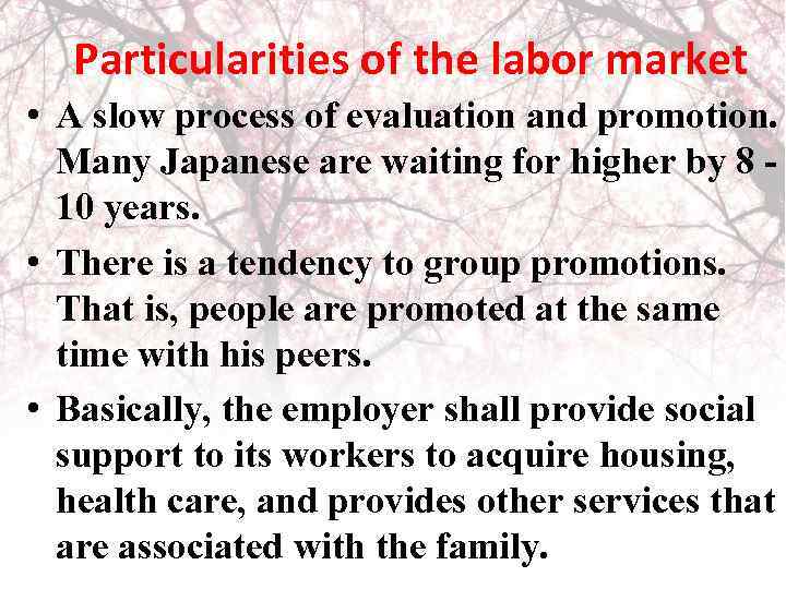 Particularities of the labor market • A slow process of evaluation and promotion. Many