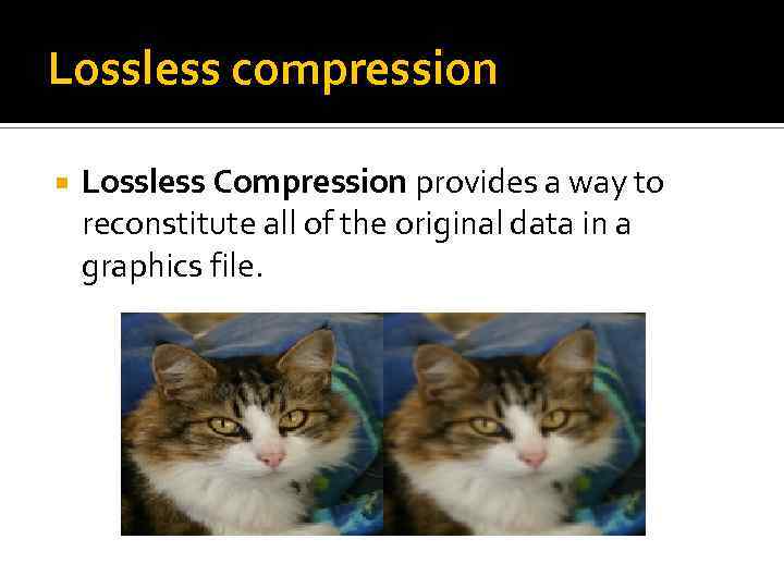 Lossless compression Lossless Compression provides a way to reconstitute all of the original data