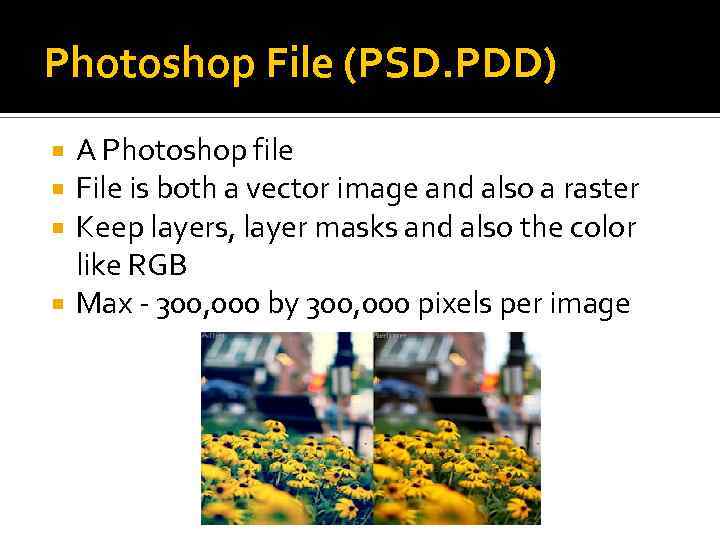 Photoshop File (PSD. PDD) A Photoshop file File is both a vector image and
