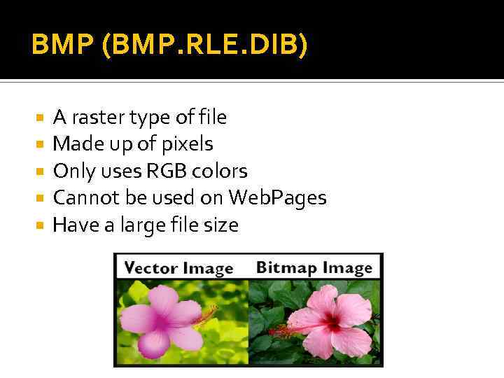 BMP (BMP. RLE. DIB) A raster type of file Made up of pixels Only