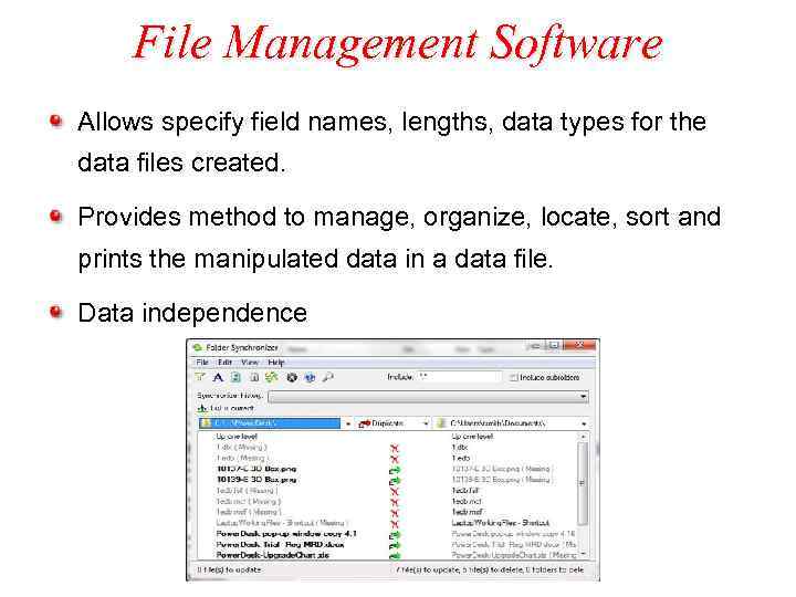 File Management Software Allows specify field names, lengths, data types for the data files