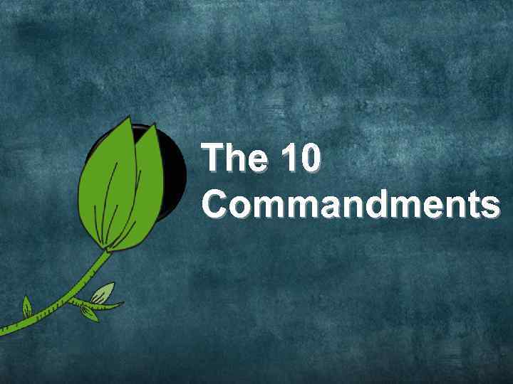 5 The 10 Commandments 