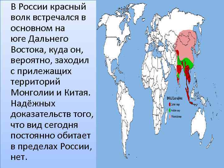 В России красный волк встречался в основном на юге Дальнего Востока, куда он, вероятно,