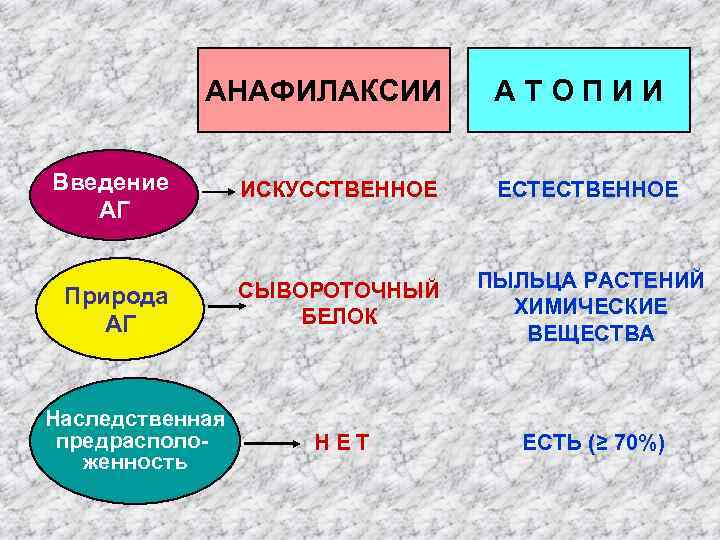 АНАФИЛАКСИИ АТОПИИ Введение АГ ИСКУССТВЕННОЕ ЕСТЕСТВЕННОЕ Природа АГ СЫВОРОТОЧНЫЙ БЕЛОК ПЫЛЬЦА РАСТЕНИЙ ХИМИЧЕСКИЕ ВЕЩЕСТВА