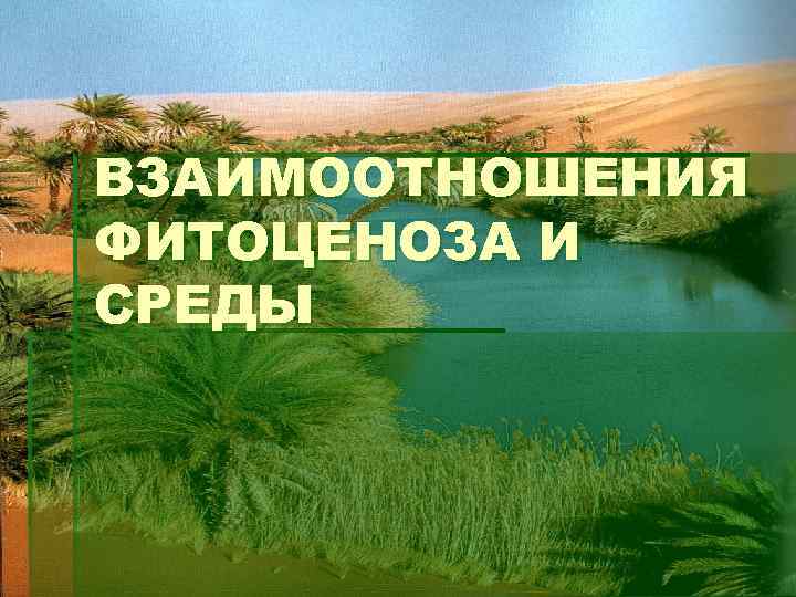 ВЗАИМООТНОШЕНИЯ ФИТОЦЕНОЗА И СРЕДЫ 