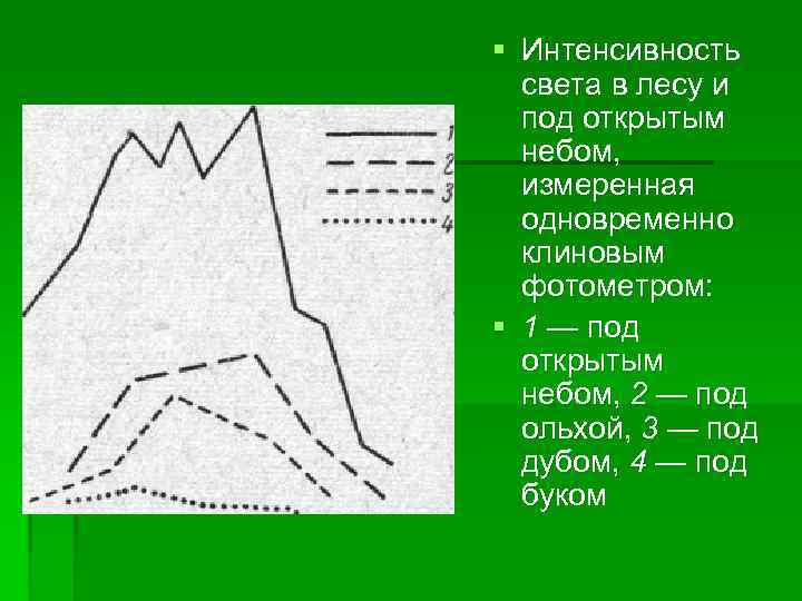 § Интенсивность света в лесу и под открытым небом, измеренная одновременно клиновым фотометром: §