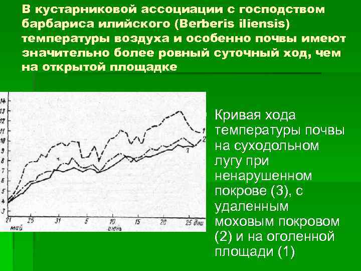 В кустарниковой ассоциации с господством барбариса илийского (Berberis iliensis) температуры воздуха и особенно почвы