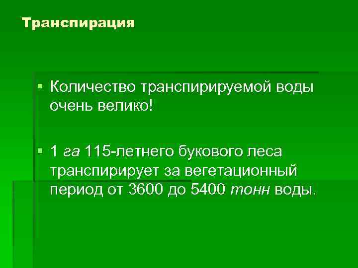 Транспирация § Количество транспирируемой воды очень велико! § 1 га 115 летнего букового леса