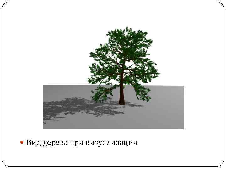 Вид дерева при визуализации 