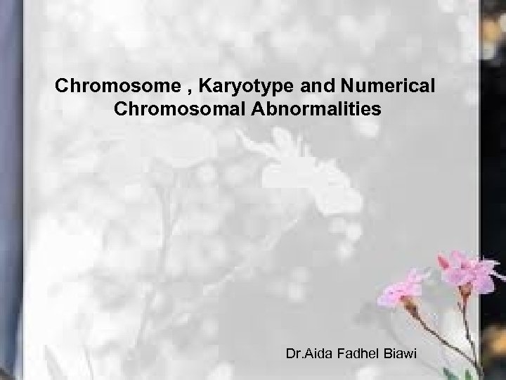 Chromosome , Karyotype and Numerical Chromosomal Abnormalities Dr. Aida Fadhel Biawi 