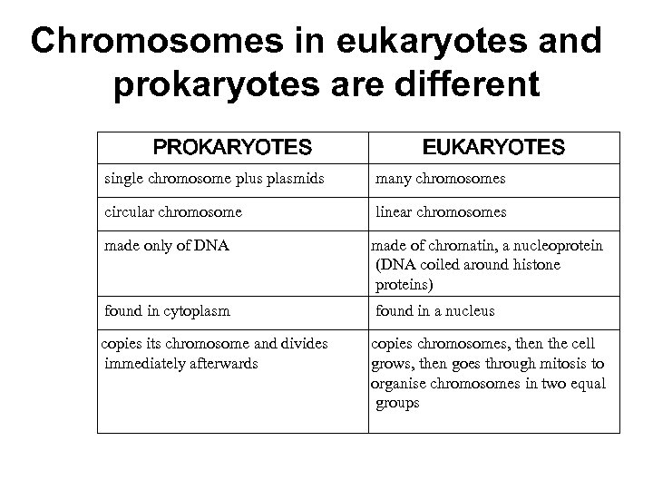 Chromosome Karyotype and Numerical Chromosomal Abnormalities Dr