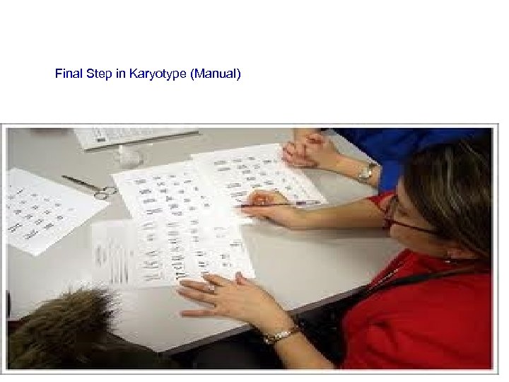 Final Step in Karyotype (Manual) 