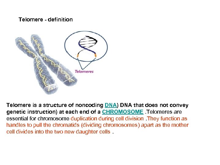 Telomere - definition Telomere is a structure of noncoding DNA) DNA that does not