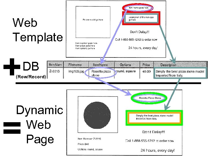 Web Template + DB (Row/Record) Dynamic Web Page = 