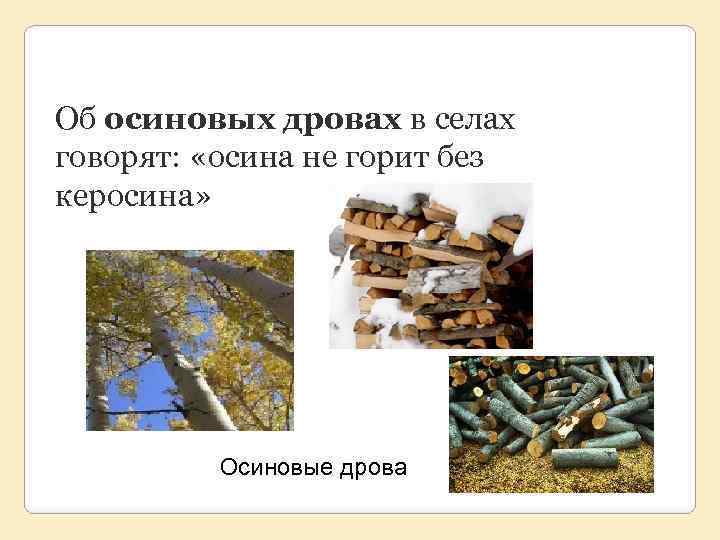 Об осиновых дровах в селах говорят: «осина не горит без керосина» Осиновые дрова 