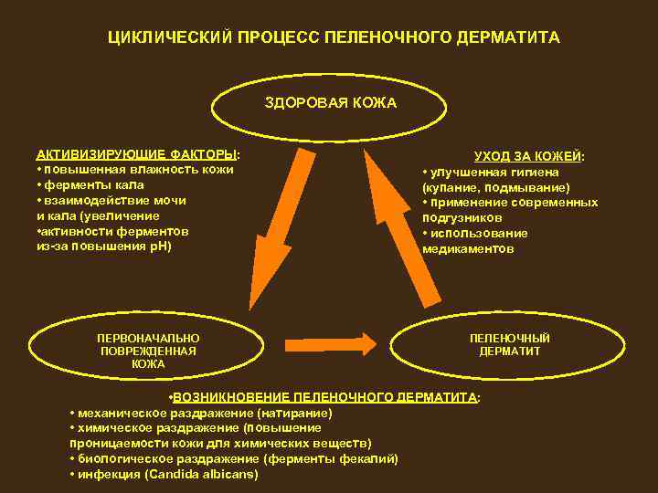 ЦИКЛИЧЕСКИЙ ПРОЦЕСС ПЕЛЕНОЧНОГО ДЕРМАТИТА ЗДОРОВАЯ КОЖА АКТИВИЗИРУЮЩИЕ ФАКТОРЫ: • повышенная влажность кожи • ферменты