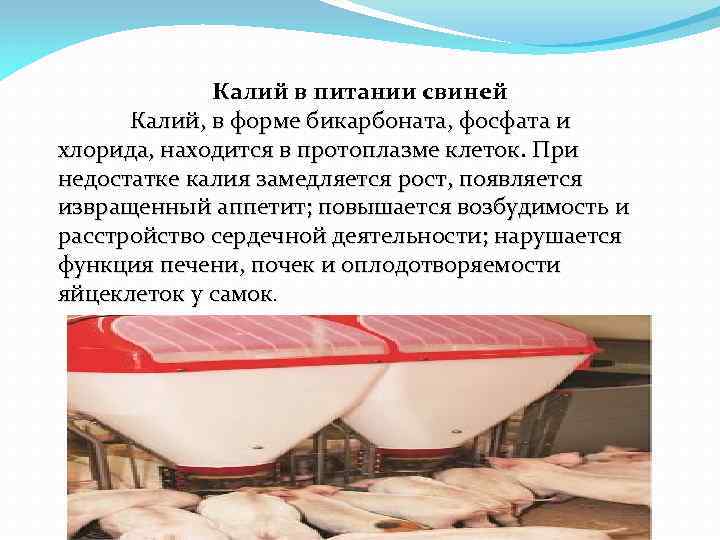 Калий в питании свиней Калий, в форме бикарбоната, фосфата и хлорида, находится в протоплазме
