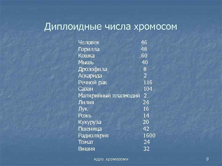 Диплоидные числа хромосом Человек 46 Горилла 48 Кошка 60 Мышь 40 Дрозофила 8 Аскарида