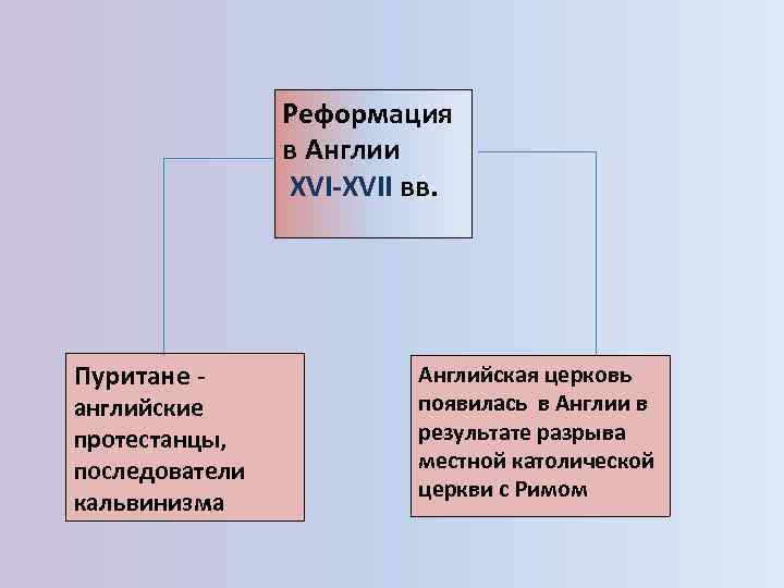 Последователи кальвинизма