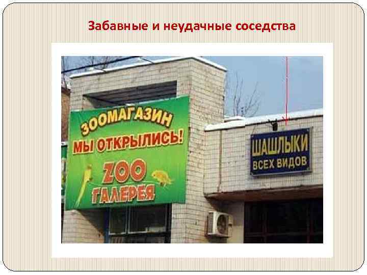 Забавные и неудачные соседства 