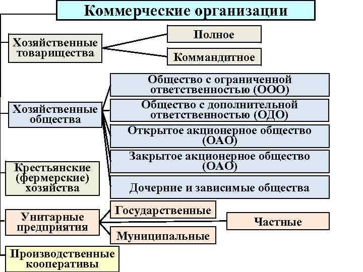 Коммерческие организации Хозяйственные товарищества Хозяйственные общества Крестьянские (фермерские) хозяйства Унитарные предприятия Производственные кооперативы Полное