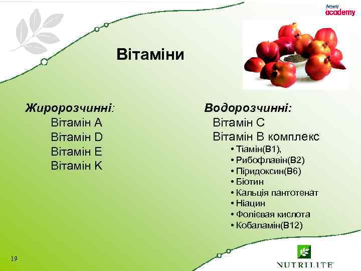 Вітаміни Жиророзчинні: Вітамін A Вітамін D Вітамін E Вітамін K 19 Водорозчинні: Вітамін C