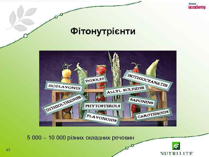 Фітонутрієнти 5 000 – 10 000 різних складних речовин 45 