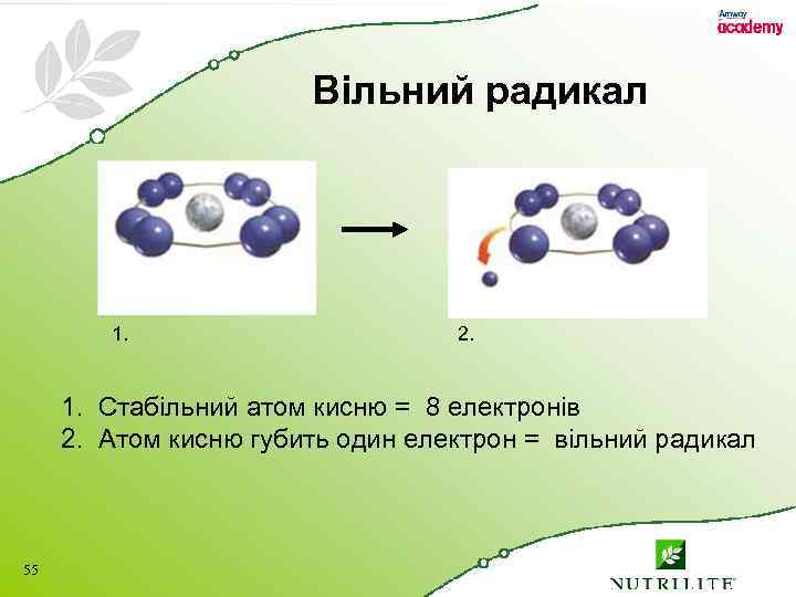 Вільний радикал 1. 2. 1. Стабільний атом кисню = 8 електронів 2. Атом кисню