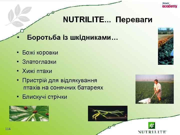 NUTRILITE. . . Переваги • Боротьба із шкідниками… • Божі коровки • Златоглазки •