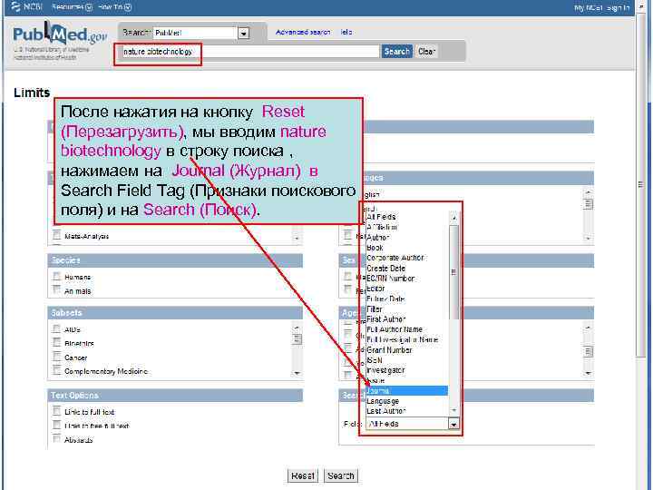 После нажатия на кнопку Reset (Перезагрузить), мы вводим nature biotechnology в строку поиска ,