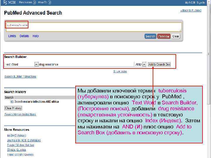 Мы добавили ключевой термин tuberculosis (туберкулез) в поисковую строк у Pub. Med , активировали