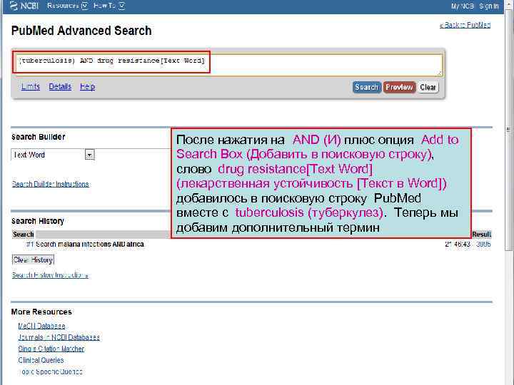 После нажатия на AND (И) плюс опция Add to Search Box (Добавить в поисковую