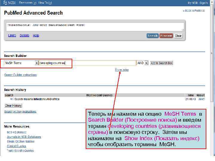 Теперь мы нажмем на опцию Me. SH Terms в Search Builder (Построение поиска) и