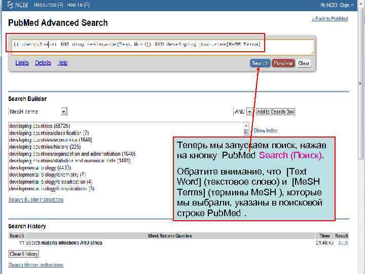 Теперь мы запускаем поиск, нажав на кнопку Pub. Med Search (Поиск). Обратите внимание, что