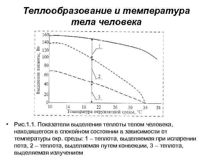 Теплообразование и температура тела человека • Рис. 1. 1. Показатели выделения теплоты телом человека,