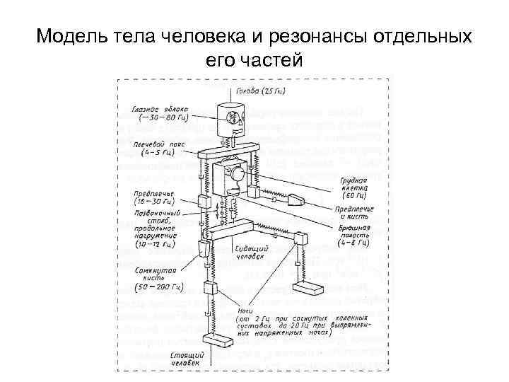 Модель тела человека и резонансы отдельных его частей 