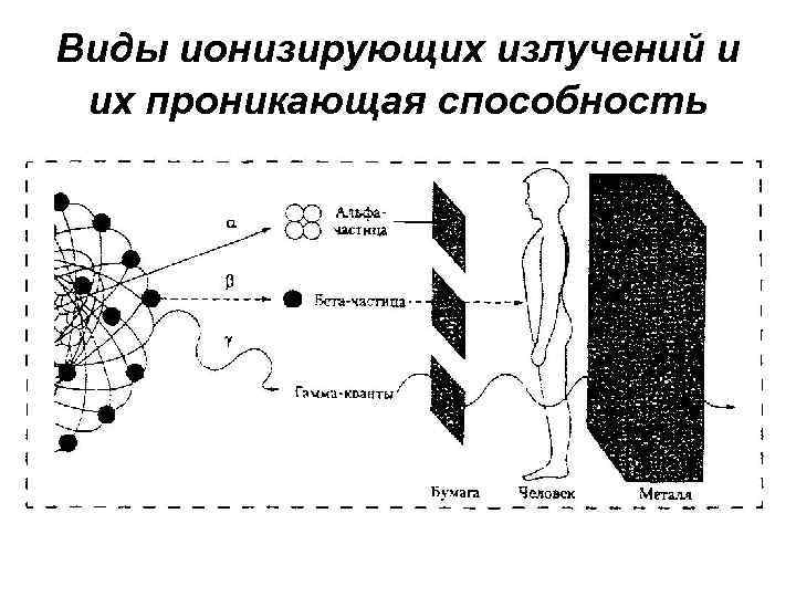 Виды ионизирующих излучений и их проникающая способность 