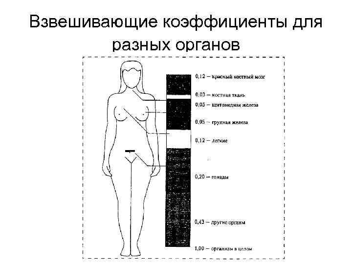 Взвешивающие коэффициенты для разных органов 