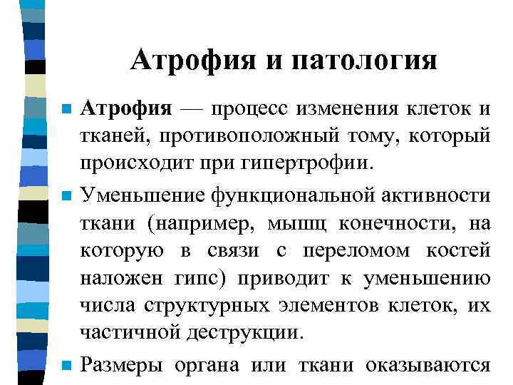 Атрофия и патология n n n Атрофия — процесс изменения клеток и тканей, противоположный