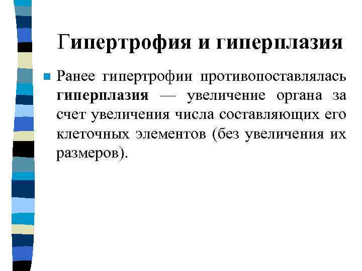 Гипертрофия и гиперплазия n Ранее гипертрофии противопоставлялась гиперплазия — увеличение органа за счет увеличения