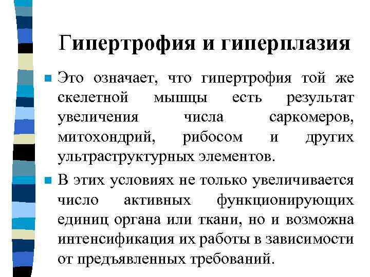 Гипертрофия и гиперплазия n n Это означает, что гипертрофия той же скелетной мышцы есть