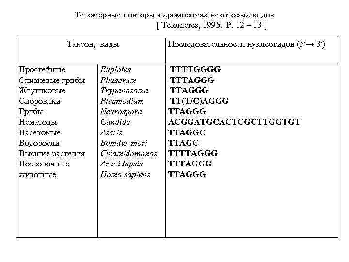 Теломерные повторы в хромосомах некоторых видов [ Telomeres, 1995. P. 12 – 13 ]