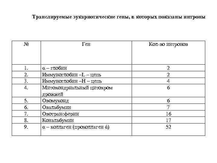 Транслируемые эукариотические гены, в которых показаны интроны № 1. 2. 3. 4. 5. 6.